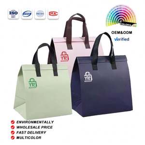 Non Woven Aluminum Foil Cooler <b>Bag</b> Small Takeaway Cold and <b>Hot</b> Drinks Coffee Food Delivery Disposable Thermal Insulated <b>Bag</b> - Product Image 1