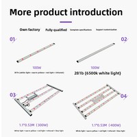 Lampu LED Linear 50W untuk Tanaman, IP54, Aluminium Alloy, Spektrum Dapat Disesuaikan, Peredupan Tombol, Mencegah Etiolasi, Mempromosikan Pembungaan