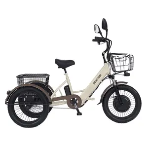 Низкая цена Электрический велосипед 20 дюйймовый сплав рама UK 36V 350W Электрический трехколесный велосипед из Китая