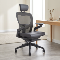 Chaise de bureau ergonomique pivotante en maille Foshan, réglable en hauteur, avec accoudoirs, support lombaire et coussin en mousse, confortable