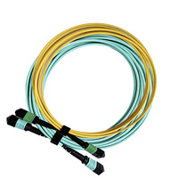 Kabel Trunk Jaringan Area Penyimpanan Komputasi Cloud Mode Tunggal MOP MTP Fiber Patch Cord Konektor SC/LC/FC/ST ISO9001