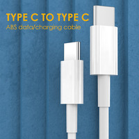 Kabel USB C Harga Terjangkau Gaya Klasik 100WPD Tipe-C ke Tipe-C Kabel Pengisi Daya OEM Warna Panjang Kabel ABS