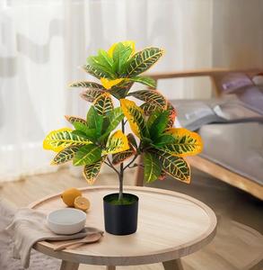 โรงงานนี้ให้ความรู้สึกหรูหราอย่างยิ่งและมีเครื่องปรับอากาศขนาดใหญ่ภายในอาคาร พร้อมจำหน่ายต้นไม้ประดิษฐ์ โคเดียตัม วาเรียกัตัม - Product Image 2