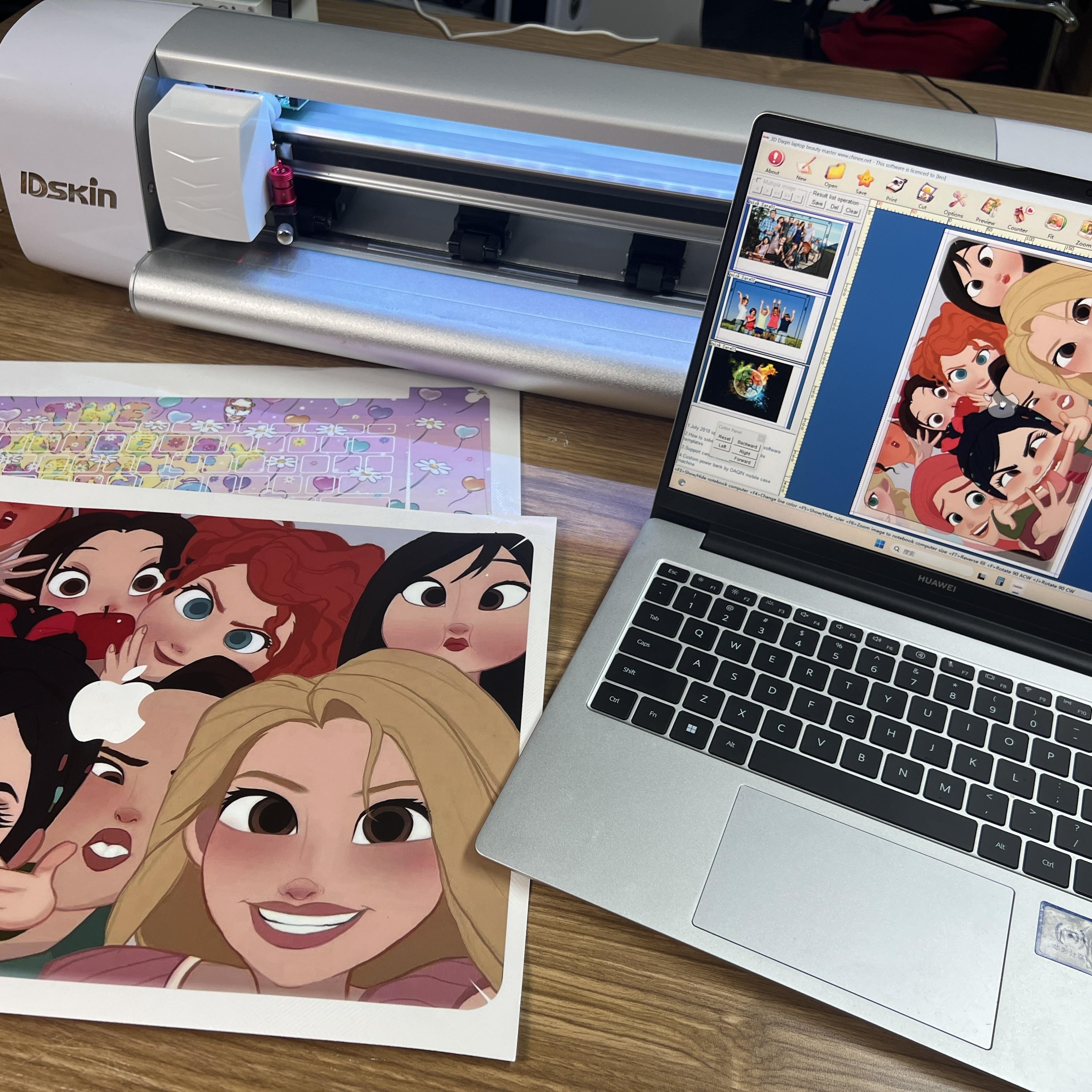 Logiciel de peau d'ordinateur portable de PC