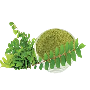 L'extrait de feuille de curry, dérivé de Murraya koenigii, est une substance concentrée et riche en nutriments (généralement en poudre fine ou en huile). - Product Image 1