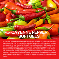 Capsules de piment de Cayenne, Complément alimentaire naturel à base de plantes, Soutien métabolique et immunitaire, Sans OGM, Certifié GMP, Approvisionnement en vrac