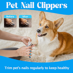 6 uds. Peine para el pelo de mascotas, cepillo de baño para mascotas, peine para eliminar pulgas, cortaúñas, cepillo de dientes, juego de herramientas de aseo para mascotas para gatos y perros - Product Image 5