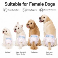 Großhandel Einweg-Hundewindeln für Weibchen, Weiche Vliesstoff-PE-Folie, Superabsorbierender Zellstoff-SAP-Kern für Wärmzyklus XXS-XL