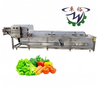 Fabrieks prijs hoge kwaliteit industriële automatische blancheringsmachine voor voedsel, groenten en fruit