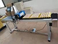 Imprimante jet d'encre automatique pour œufs, cartouche d'encre jetable sans entretien, machine de codage d'œufs 300 DPI haute résolution, qualité alimentaire