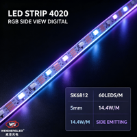Bande LED numérique RVB SK6812 4020 à vision latérale 100 LED/m 5V, bande LED adressable, fabricant (Aucun avis pour le moment)