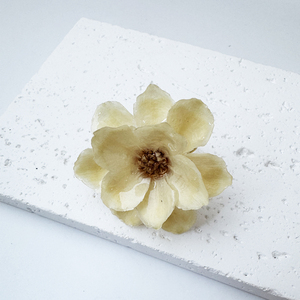 Gioielli Delicati Anello con Vero Fiore Eterno di Mughetto in Acciaio Inossidabile Placcato Oro 18K per Ragazze Design Anello Personalizzato - Product Image 5