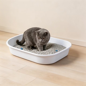 Litière pour chat Dongnai PETS 19L en boules de bentonite, agglomération rapide, charbon actif anti-odeur, 99% sans poussière, formes mélangées, sable PP - Product Image 1