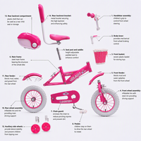 Vélo pour filles personnalisable rose 12''16''20'' |   Usine OEM ODM |   Panier, dossier et roues d'apprentissage
