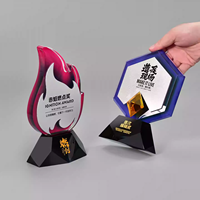 Trophée créatif en cristal en forme de flamme | Cadeaux d'employé | Reconnaissance d'entreprise | Gravure | Anniversaire d'entreprise