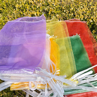 Zware Mono Mesh Netzak 5kg 25kg 50kg PE Geweven Zak voor Opslag & Transport van Landbouwproducten