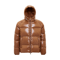 Veste matelassée unisexe à capuche pour homme, 80 % duvet de canard, brillante, respirante, manteau d'hiver décontracté, puissance de remplissage 600, fermeture éclair personnalisée OEM ODM