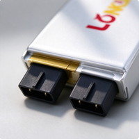 Batterie LiPo rechargeable LongKun 3.7V 20Ah 50Ah 60Ah, cellule de batterie polymère au lithium, capacité personnalisée, OEM ODM