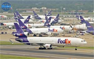 Envío Internacional DDP, <span class=keywords><strong>DHL</strong></span>, UPS Express, Artículos Únicos, Plantas Vivas, <span class=keywords><strong>Documentos</strong></span> Legales Confidenciales, Transporte Aéreo Competitivo - Product Image 2