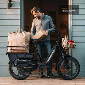 Vélo Électrique Yeestep en Stock pour la Vente en Gros, Vélo de Famille, Vélo des Neiges, Sport Électrique, Plage, Sable, Montagne, Tout-Terrain, 7 Vitesses, Vélo Cargo Électrique - Product Image 6