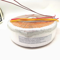 Transformateur variable Transformateur toroïdal 500W 600W 800W 1000W Transformateur audio Amplificateurs Transformateur de sortie