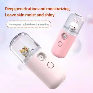 USB Rechargeable Facial Steamer Humidifier 30ml Mini Cute Nano Mist Sprayer Ultrasonic Humidifiers