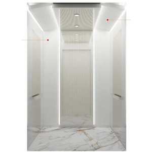 Volkslift 0017 Décoré <span class=keywords><strong>Maison</strong></span> Résidentielle Ascenseur Prix Pas Cher Ascenseurs pour Ascenseur À Domicile - Product Image 1