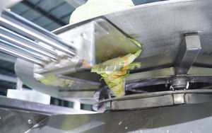 Máquina de lavado y enjuague de verduras (brócoli, <span class=keywords><strong>tomate</strong></span>, repollo), línea de lavado de vegetales, máquina de secado de <span class=keywords><strong>tomate</strong></span> - Product Image 6