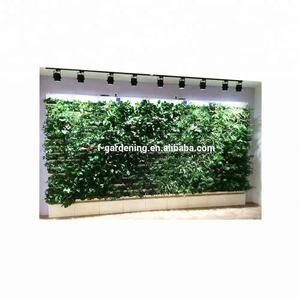 Siphem Smart Garden, Sistema de Pared Verde Artificial Hidropónico, Pared Ecológica Inteligente para Plantas Reales - Product Image 2