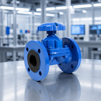Vanne à membrane manuelle hydraulique en fonte avec doublure en ébonite et diaphragme EPDM Application générale pour les médias de base