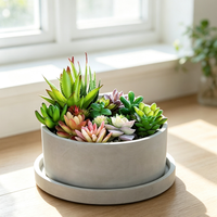 Pot de fleurs rond en béton mat avec plateau de base, pot en ciment pour succulentes, style INS, vase de bureau, logo personnalisé, approvisionnement en gros