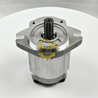 CASE Traktör MAXXUM 145 150 125 100 110 130 115 135 140 120 için Hidrolik Pompa 5192659 519-2659 86664800 87603409
