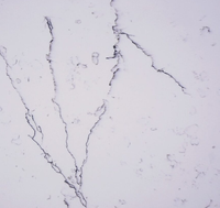 Dalles de quartz artificiel en gros 3200x1600mm – Grande réduction pour plateaux de table à manger domestiques et panneaux de rebord de fenêtre de balcon