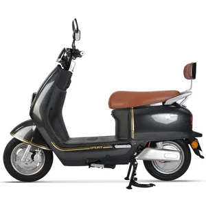 YX007 facile da usare 800w Scooter per adulti motorino elettrico ciclomotore E motocicli