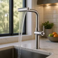 Robinet de cuisine en acier inoxydable brossé, à levier unique, à montage sur comptoir, avec bec col de cygne et douchette extractible pour la maison
