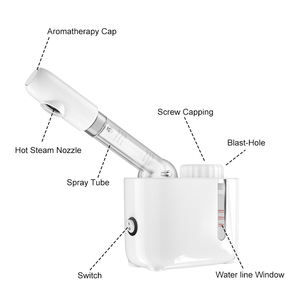 Nouveau Modèle 2026 OEM/ODM Personnalisé Vaporisateur Facial Électrique Nano-Ionique - Hydratation Profonde & Éclaircissant pour Usage Domestique, Automobile et Extérieur - Product Image 5
