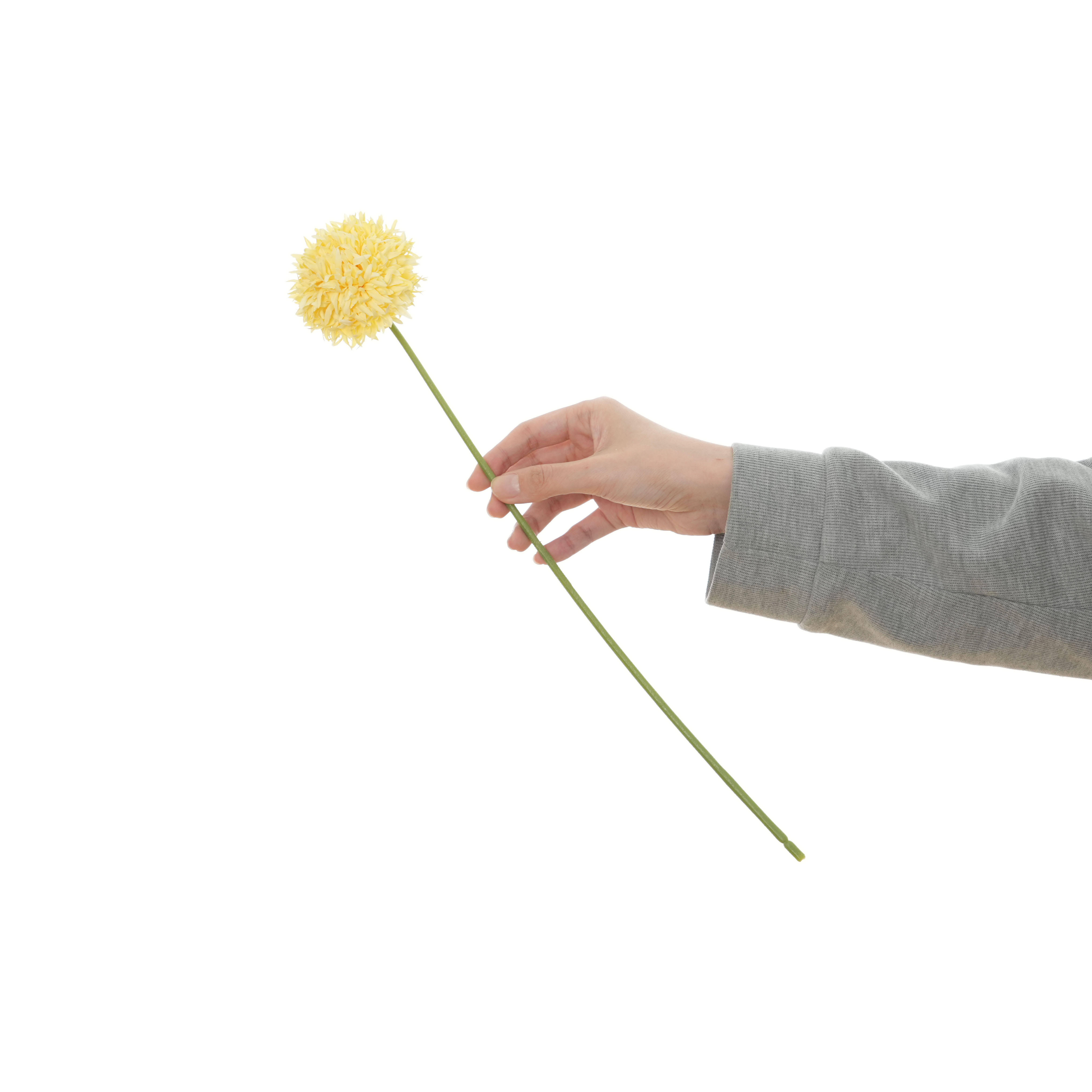 สีเหลืองมะนาว