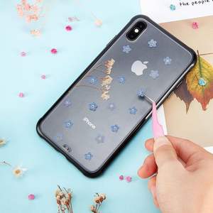 Fleurs pressées naturelles séchées Forget - Me - Not Décor de longue durée pour la maison Art mural Fabrication de cartes Décorations Amateurs créatifs - Product Image 4