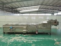 Pasteurisateur automatique à bain-marie pour aliments en sachet/bouteille de 4/5/6 mètres de long, machine de pasteurisation pour la pâte de tomate en sachet