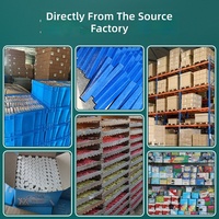 Vente directe usine – Craie en poudre de gypse sans poussière, 6 pièces/boîte, colorée, extra-large, à noyau épais, pour usage extérieur, grande taille
