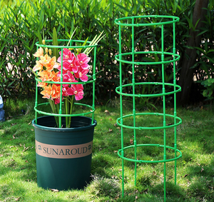 Support de fleur d'épissage en plastique plante d'intérieur support de fleur <span class=keywords><strong>balcon</strong></span> branche escalade support de vigne - Product Image 6