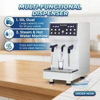 LEHEHE 10L Distributeur de vapeur et d'eau chaude commercial entièrement automatique, écologique, 3000W, pour thé, café et mousse de lait
