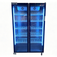Réfrigérateur commercial à double porte vitrée pour boissons, vin et bière, pour bar, supermarché, magasin