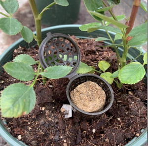 Boîte d'engrais pour plantes en plastique <span class=keywords><strong>Bonsai</strong></span> Tool Engrais Cover Basket Box - Product Image 3