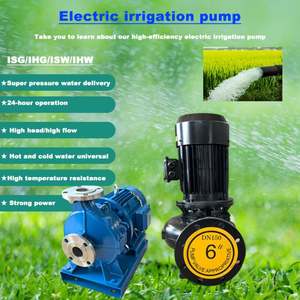 Bomba centrífuga en línea horizontal de una etapa eléctrica personalizada para sistema de riego agrícola, bomba de refuerzo industrial automática para tuberías - Product Image 2
