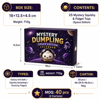 Calendrier de l'Avent Southpeak Toy Mystery Dumpling Édition Spatiale 25 Boîtes Mystères Jouets Squishy Fidget Orb Ball 18x12cm MOQ40 OEM WS
