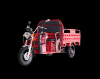 Triciclo Elettrico per Carichi Pesanti 1500W con Cassone da 1,6m, Semi-Chiuso, a 3 Ruote, per Logistica e Consegne