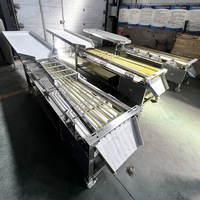 Nieuwe Navel Sinaasappel Fruit Selectie- en Sorteermachine Betelnoot Zeefmachine Kersentomaat Passievrucht Sorteermachine Gouden Mandarijn TW