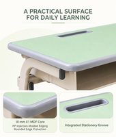 Ensemble chaise et bureau d'école à cadre en acier avec revêtement mat, boîte de rangement H120mm, siège en HDPE, bord en PP, plateau en MDF pour l'éducation
