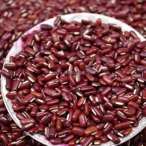 Kacang merah hijau alami murni tanpa aditif Mudah Memasak dan membusuk untuk memenuhi kebutuhan nutrisi hidup
